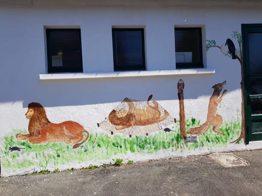 le lion et le rat à l'école privée de Bais